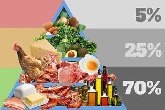Productos, dieta, lo que debería estar en el menú.